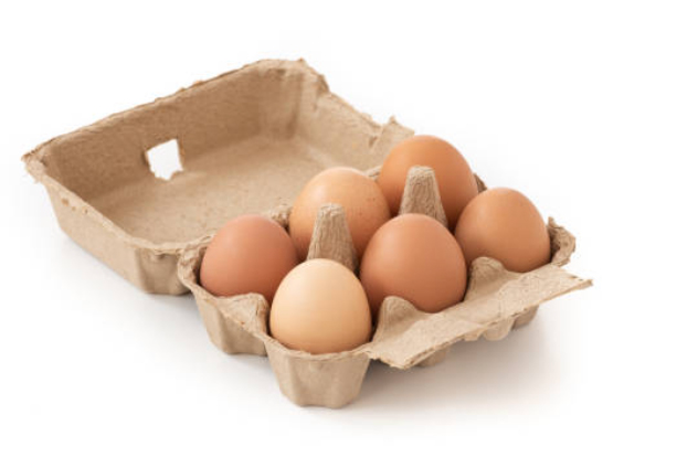 boite-oeufs02
