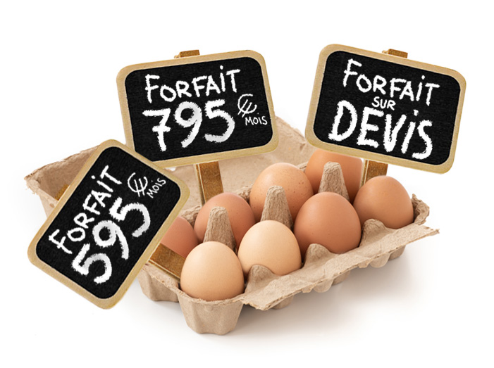 boite-oeufs-forfait-total
